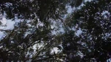 Güzel manzaralı doğal arka plan görüntüleri