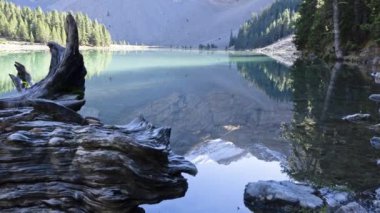 Ormandaki dağ nehrinin güzel görüntüleri.