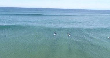 Okyanusta dalgaları yakalayan sörfçüler