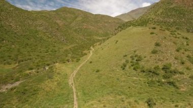 Genç bir kadın yeşil alanda ata biniyor.