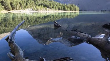 Ormandaki dağ nehrinin güzel görüntüleri.