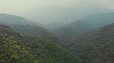 Qinyang County, Jiaozuo City, Henan Eyaleti, Çin 'deki ormanın güzel manzarası.