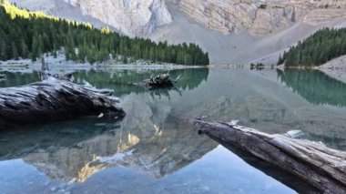 Ormandaki dağ nehrinin güzel görüntüleri.