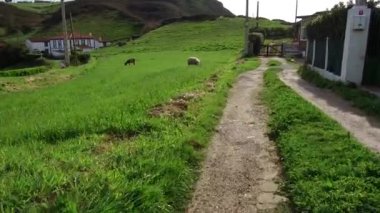 Güzel manzaralı doğal arka plan görüntüleri