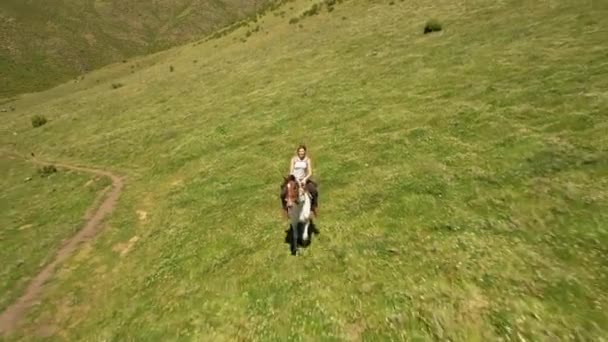 Young Woman Riding Horse Green Field — Stock Video