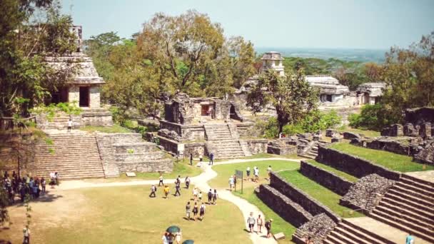Ruinas Del Templo Maya México — Vídeos de Stock