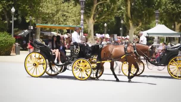スペインのセビリア Plaza Espana で馬に引っ張られた馬に乗る中国人観光客 — ストック動画