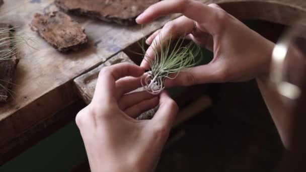 Woman Making Handmade Jewelry — Αρχείο Βίντεο