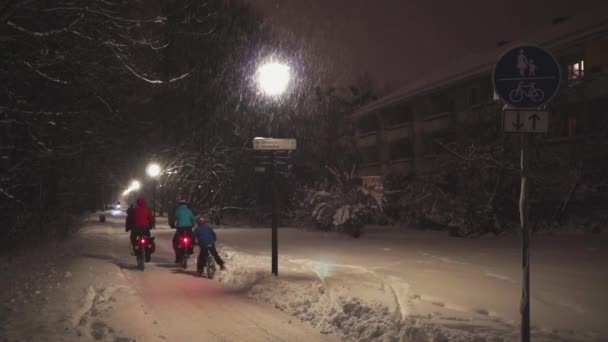 Lampadaires Près Winter Path — Video