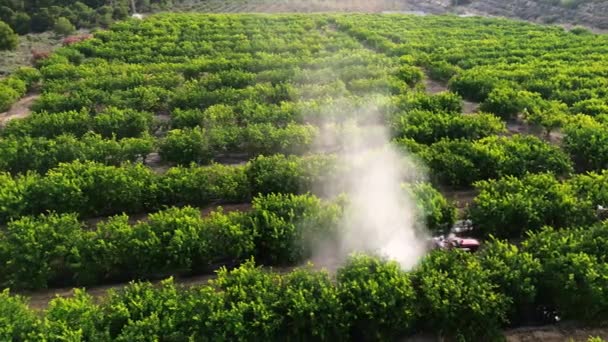Зверху Невпізнаваний Фермер Який Керує Обприскувачами Тракторів Розпилює Пестициди Інсектициди — стокове відео