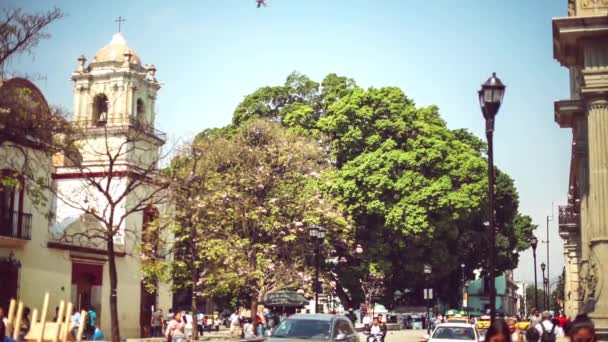 Hermosa Ciudad Día Soleado México — Vídeos de Stock