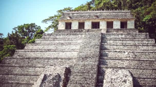 Ruinerna Mayatemplet Mexiko — Stockvideo