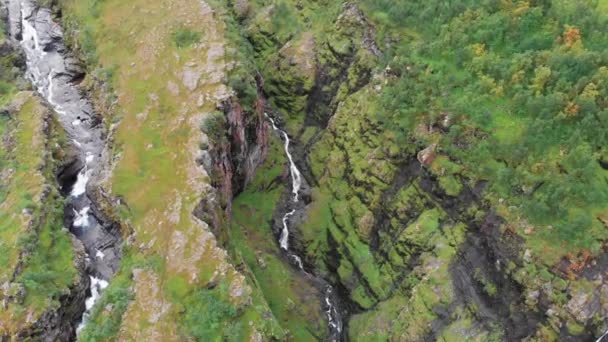 Tempo Lapso Cachoeira Tranquila Uma Exuberante Floresta Tropical Australiana — Vídeo de Stock