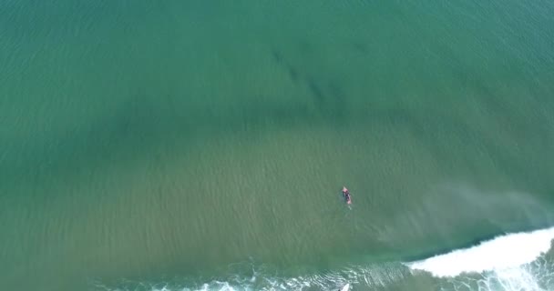 Surfistas Pegando Ondas Oceano — Vídeo de Stock