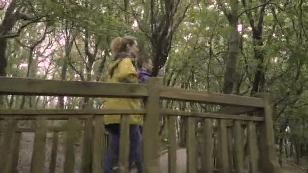 Denní Záběry Romantického Páru Procházejícího Zeleném Parku Večerní Čas — Stock video
