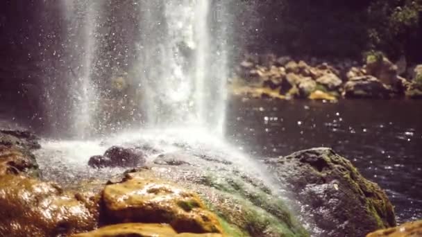 Hermosa Cascada Tropical México — Vídeos de Stock