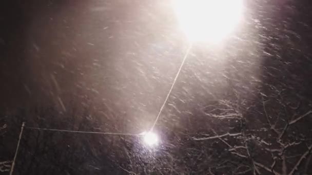 雪の間の冬の道の近くの街灯 — ストック動画