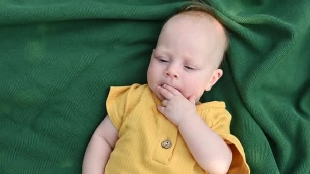 公園の毛布に横たわるカジュアルな服でかわいい愛らしい赤ちゃんのハイアングルビュー — ストック動画