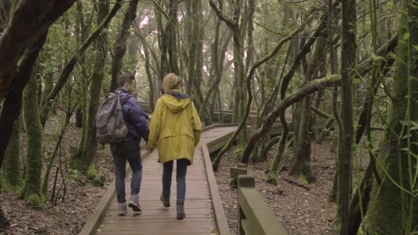 Imagini Din Timpul Zilei Ale Cuplului Romantic Care Plimbă Parcul — Videoclip de stoc
