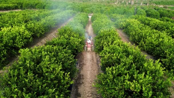 Výše Nepoznatelný Zemědělec Řízení Zemědělské Traktoru Herbicid Postřikovače Postřik Pesticid — Stock video