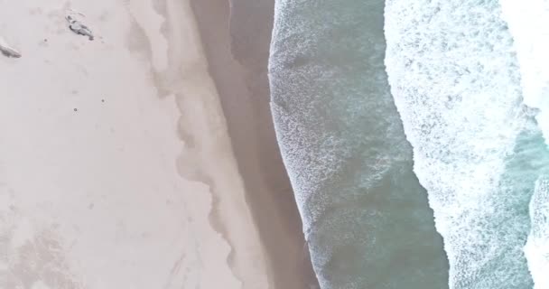 Landschaft Mit Wellen Sonniger Küste — Stockvideo