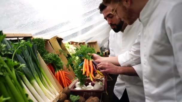 Chefs Estão Escolhendo Legumes Mercado — Vídeo de Stock