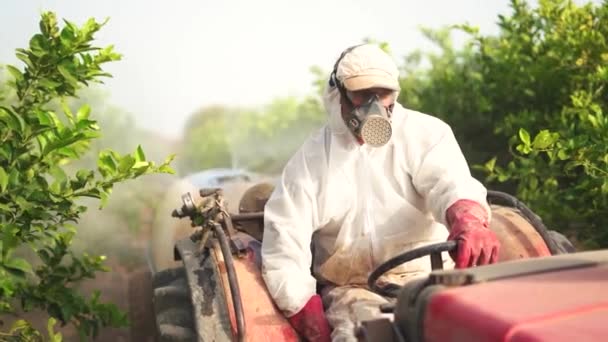 Koruyucu Kıyafet Giyen Maskeli Isimsiz Bir Çiftçi Limon Ağaçlarına Böcek — Stok video