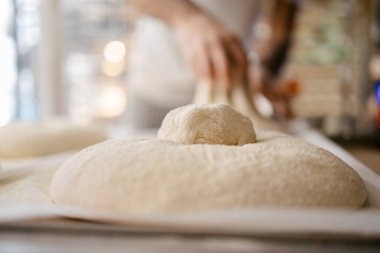 Arka planda tanınmayan bir fırıncının elleriyle taze ekmek hamurunun portresi bir fırının hamurunu şekillendiriyor.