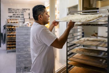 Beyaz elbiseli Latin bir fırıncı bir fırındaki tepsi rafına Focaccia hamur koyuyor.