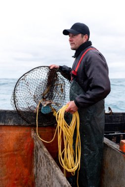 Vertical photo of a adult caucasian fisherman working retreating a net from water clipart