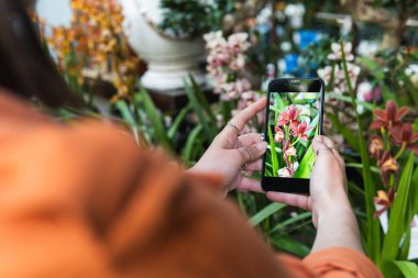 Bahçe pazarında çiçeklerin açtığı çiçeklerin fotoğrafını çeken pozitif kadın müşteri.