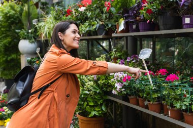 Bahçe pazarında çiçek açan saksı çiçeklerini toplayan keyifli kadın müşterinin yan görüntüsü