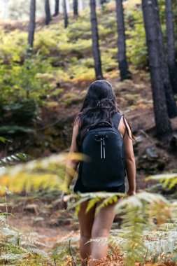 Sırt çantalı esmer bir kadının ormanda yürüyüşünün arka görüntüsü.