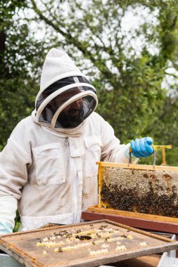 Arı kovanının yanında koruyucu kostümlü ve eldivenli bir erkek arı kovanı duruyor.
