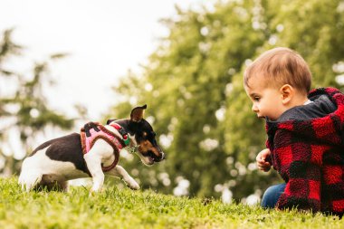 Küçük çocuk parkta küçük bir köpekle oynuyor.