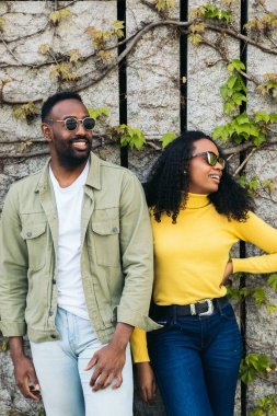 Çekici ve şık Afro-Amerikan erkek çift pozu