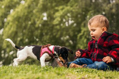 Parkta köpekle oynayan sevimli bir bebek.