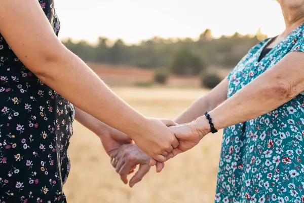 Torununun elini tutan yaşlı bir kadına güzel bir yakın çekim. Kırış kırış bir elin ve bir gencin ellerinin yakın çekimi..