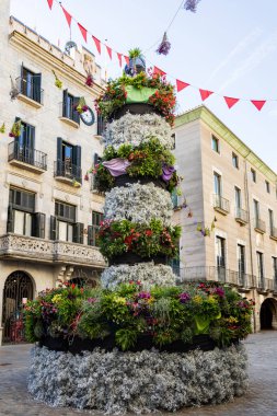 Kasaba meydanındaki insan kulelerinin çiçek temsilcisi. Katalonya, Girona Temps de Flors.