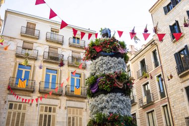 Kasaba meydanındaki insan kulelerinin çiçek temsilcisi. Katalonya, Girona Temps de Flors.