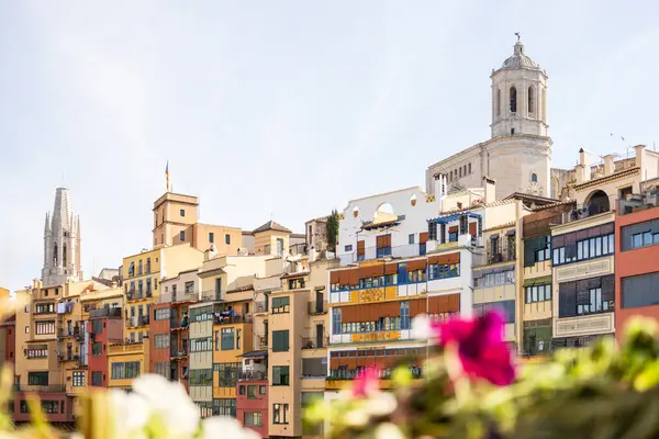 Girona Katedrali manzarası ve çiçekli Onyar Nehri 'nin renkli evleri. Girona Temps de Flors, Katalonya şehir simgesi ve seyahat noktası.