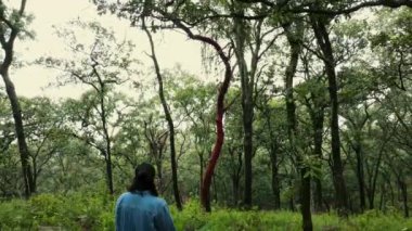 Gökyüzü, yüksek ağaçların görüntüsünden uzaklaşır ve ormandaki kayanın üzerinde duran hasır mantar sepetiyle tanınmayan bir dişi görür.