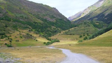 İspanya 'daki Aran Vadisi' nin dağlık arazisindeki yeşil otlarla çevrili boş yol manzarası