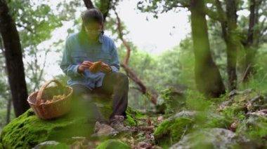 Pan sağ ciddi kadın mikolog Lactarius deliciosus mantarlı yosunlu kaya üzerinde oturuyor ormanda