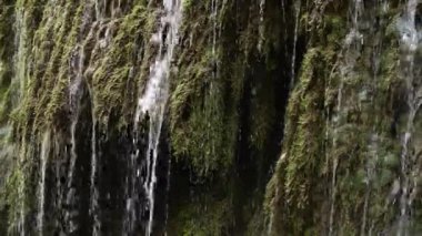 Bitki örtüsünün üzerinde akan su püskürtülerinin yan görüntüsü