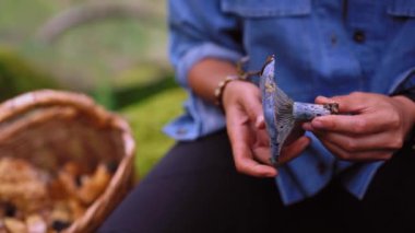 Yenebilir Lactarius çivit mantarına ormanda mavi kepçeyle bakan tuhaf, tanınmayan bir kadın.