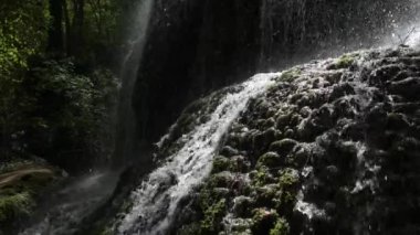 Güneşli bir günde ağaçların altındaki şelaleden