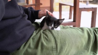 Tarla farkıyla tanınmayan dişi yavru kediyi kucaklıyor. Gündüz vakti rüzgarlı bir havada bankta otururken.