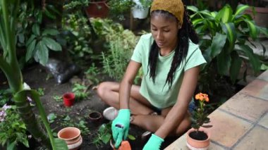 Hippi siyah kadın ve rastalı bahçıvan serada oturup seramik saksılara yeşil bitki dikiyorlar.