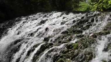 Güneşli bir günde ağaçların altındaki kayaların üzerinden akan suyun altından.